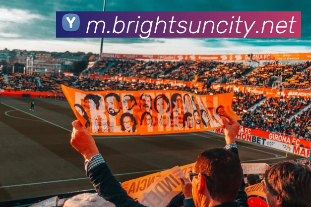 太阳城平台生态图